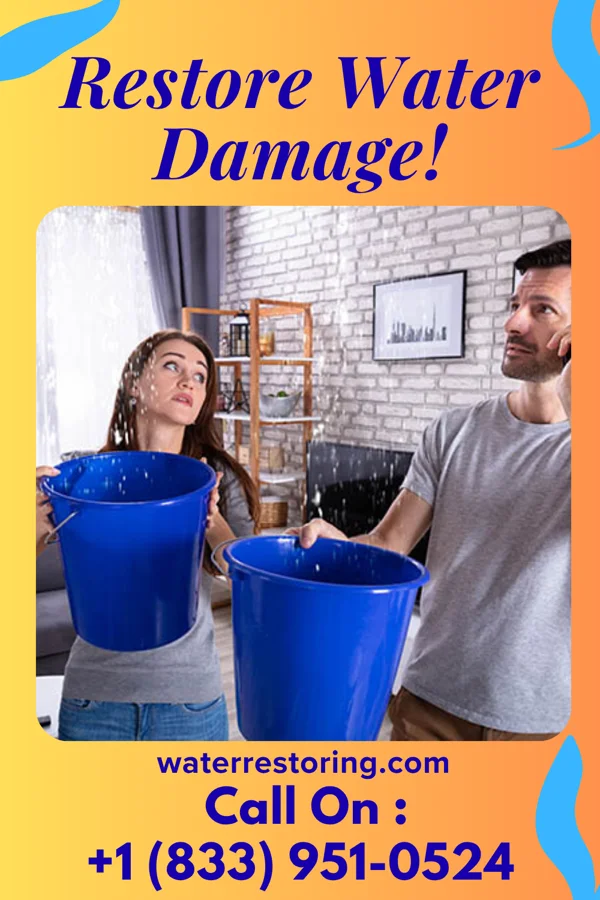 water restoration Peak Storm Damage Experts Irvington