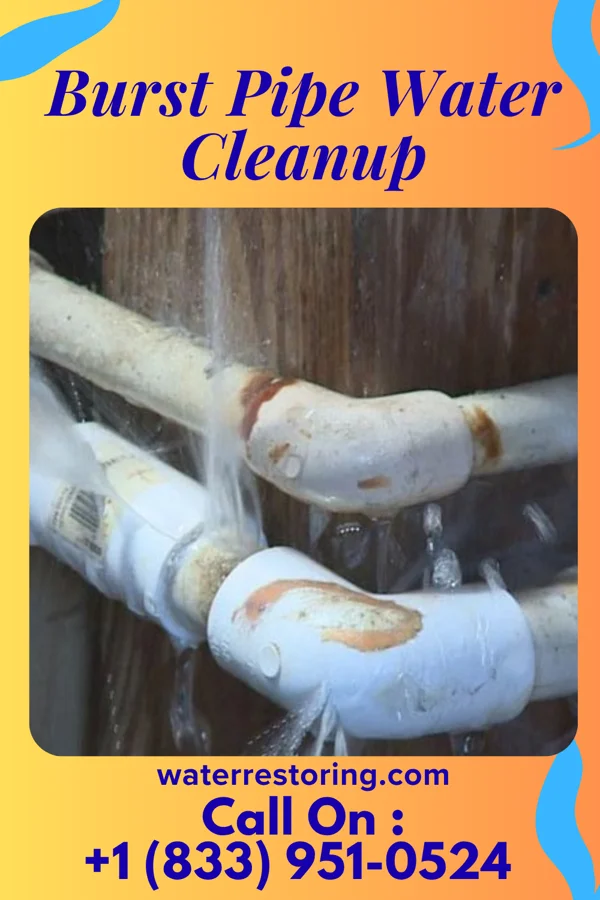 Burst Pipe Water Cleanup in Irvington, NY
