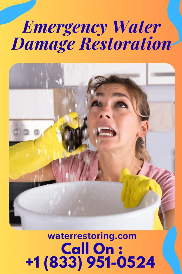 Emergency Water Damage Restoration in Irvington, NY