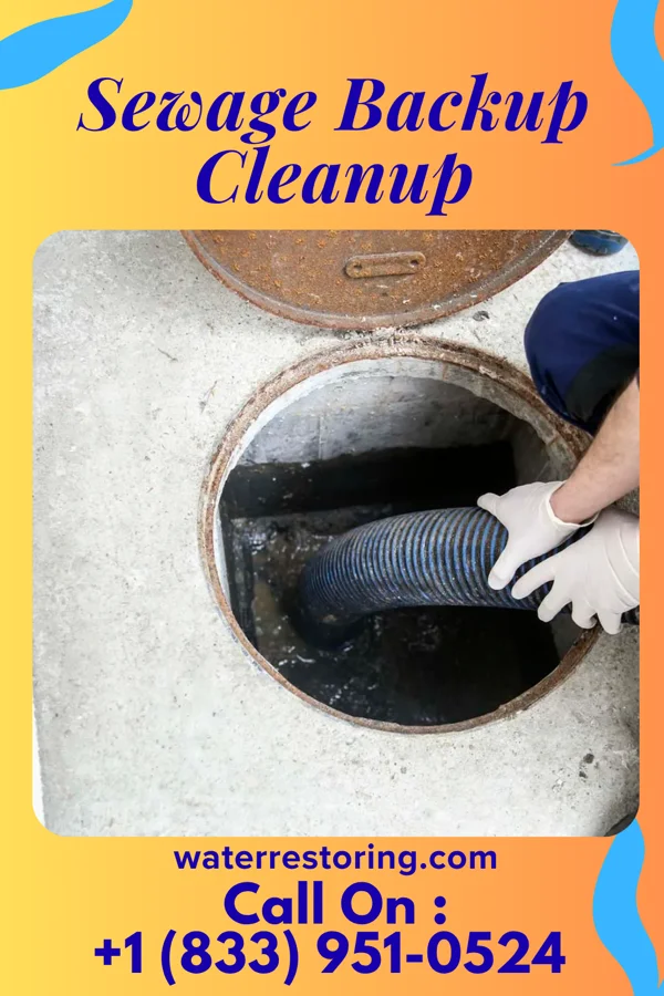 Sewage Backup Cleanup in Irvington, NY
