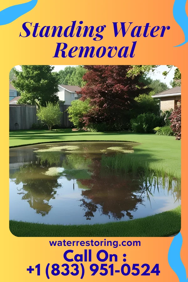 Standing Water Removal in Irvington, NY
